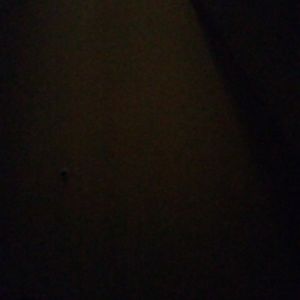 Meet your Posher, Thedra